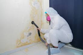 Best Forensic Mold Investigation  in Charter Oak, CA